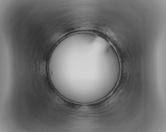X0000111811265200908061108