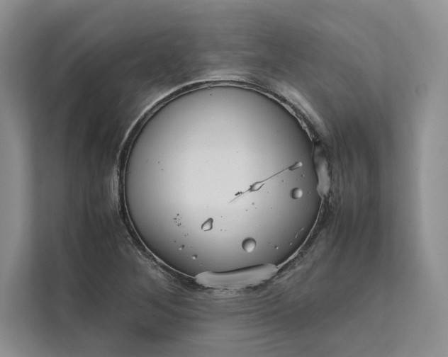 X0000111811268200908061108
