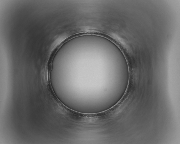 X0000111811269200908061108