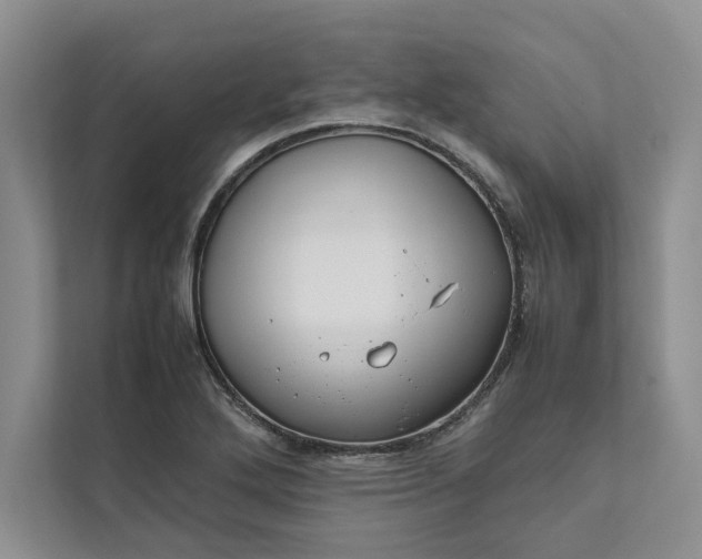 X0000111811272200908061108