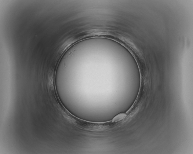 X0000111811273200908061108