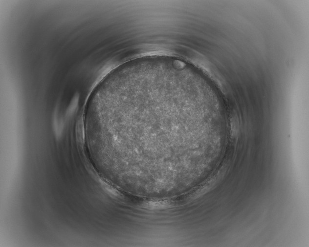 X0000111811274200908061108