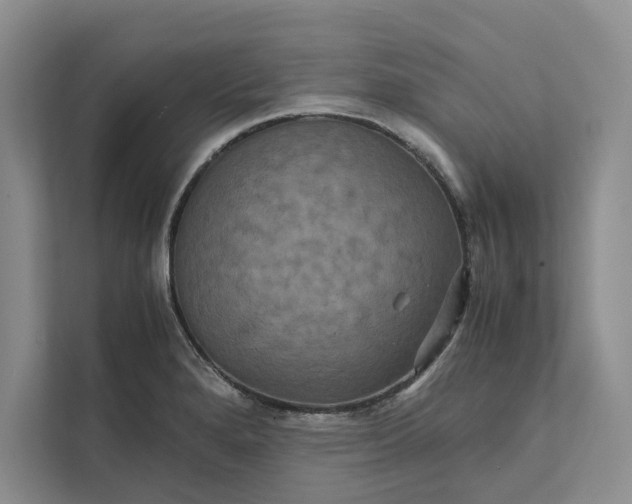 X0000111811280200908061108