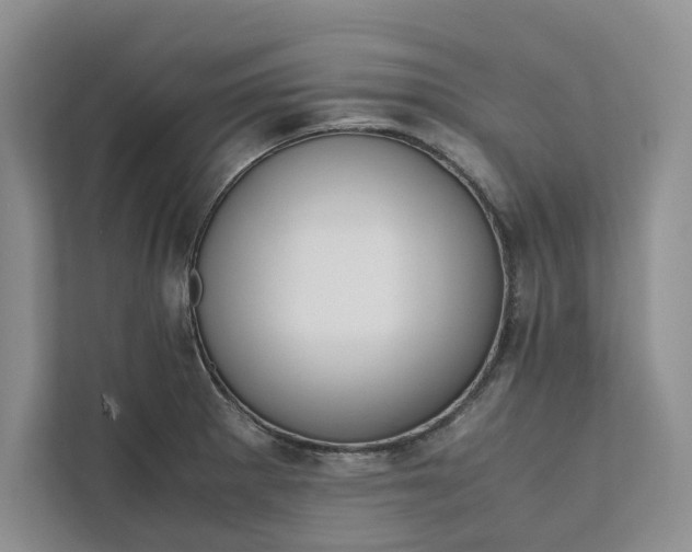 X0000111811281200908061108