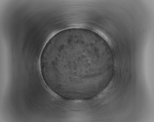 X0000111811283200908061108