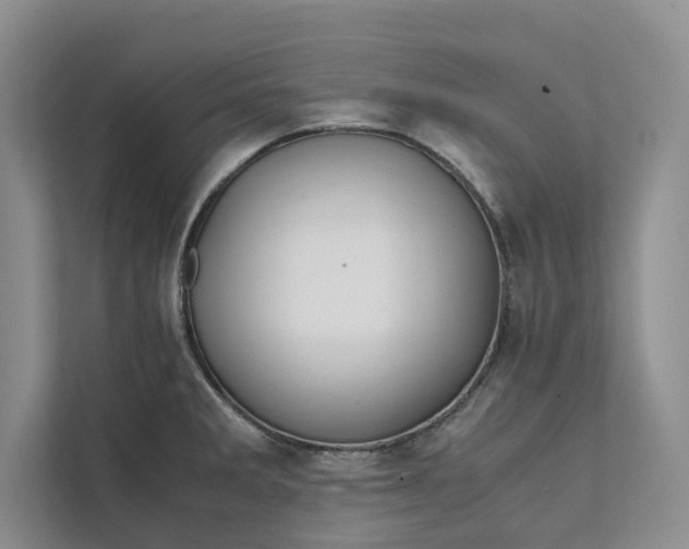X0000111811285200908061108