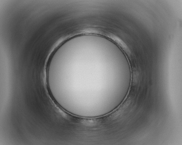 X0000111811286200908061108