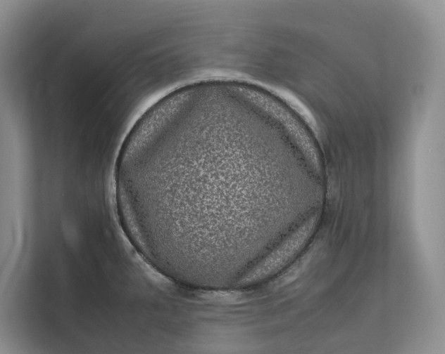 X0000111811287200908061108
