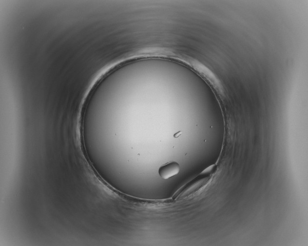 X0000111811288200908061108