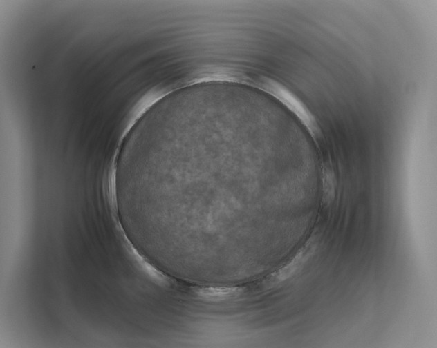 X0000111811290200908061108