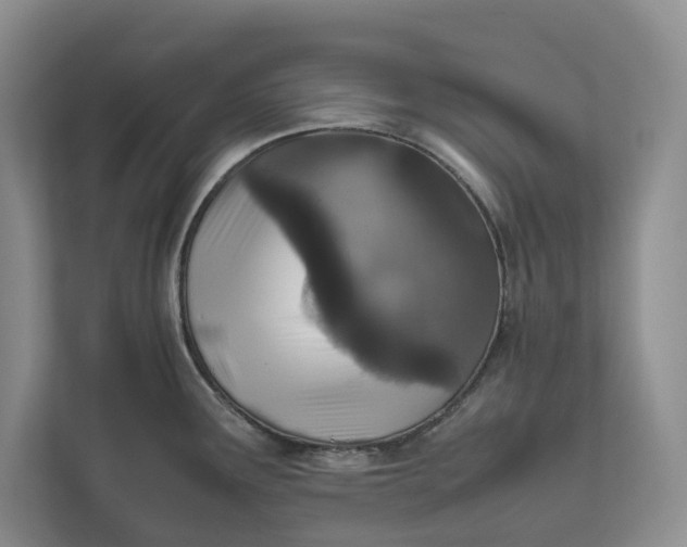 X0000111811291200908061108