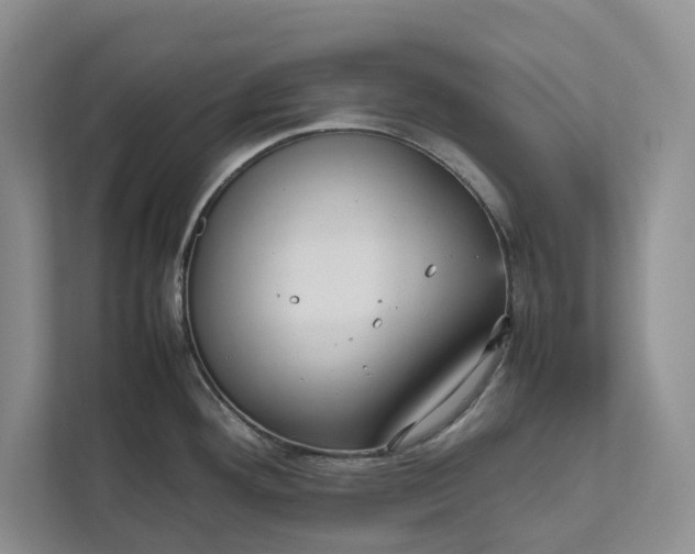 X0000111811292200908061108