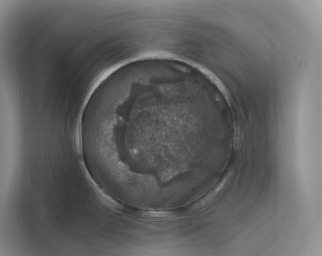 X0000111811295200908061108