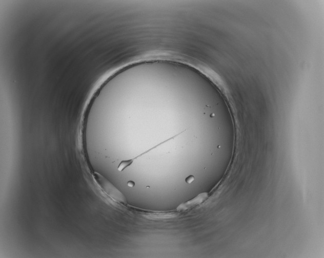 X0000111811296200908061108