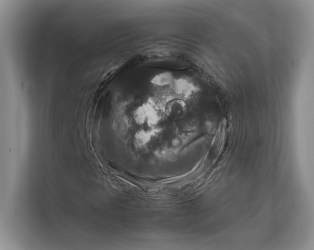 X0000111811297200908061107