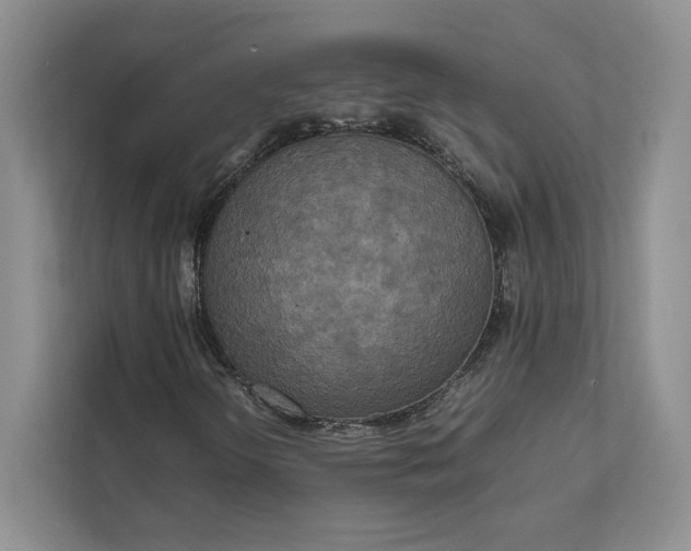 X0000111811298200908061107