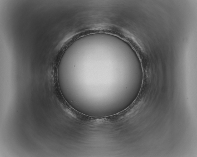 X0000111811304200908061107