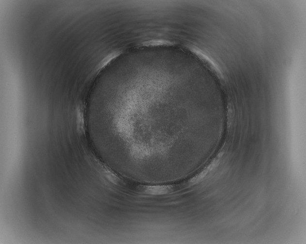 X0000111811305200908061107
