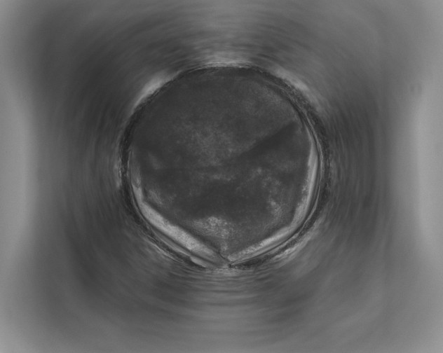 X0000111811306200908061107