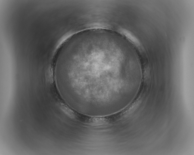X0000111811310200908061107