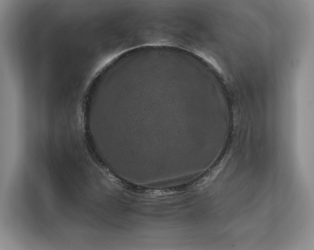 X0000111811311200908061107