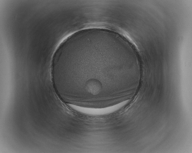 X0000111811312200908061107
