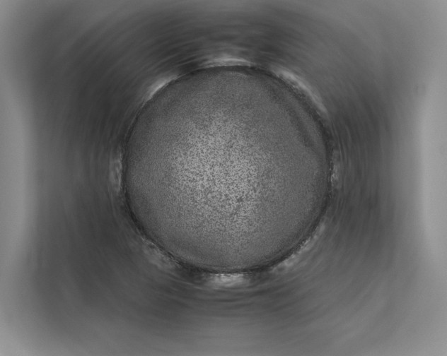 X0000111811313200908061107