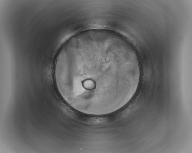 X0000111811314200908061107