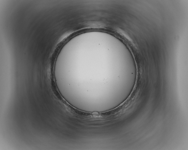 X0000111811315200908061107