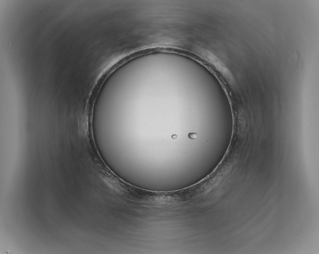 X0000111811316200908061107