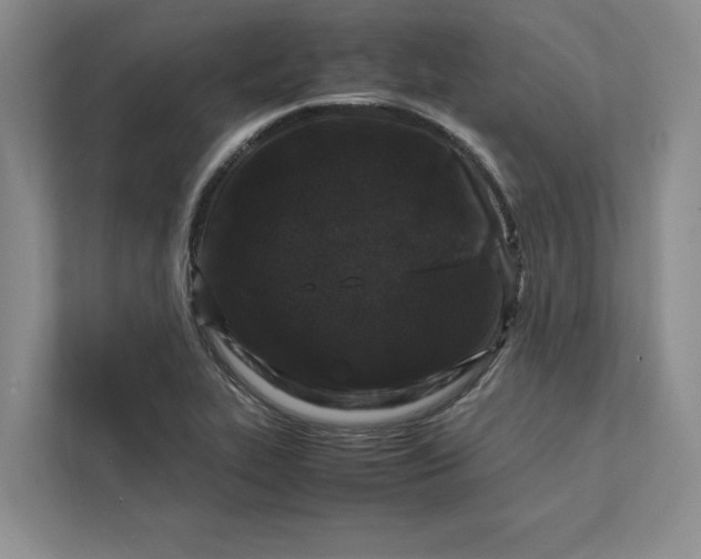 X0000111811319200908061107