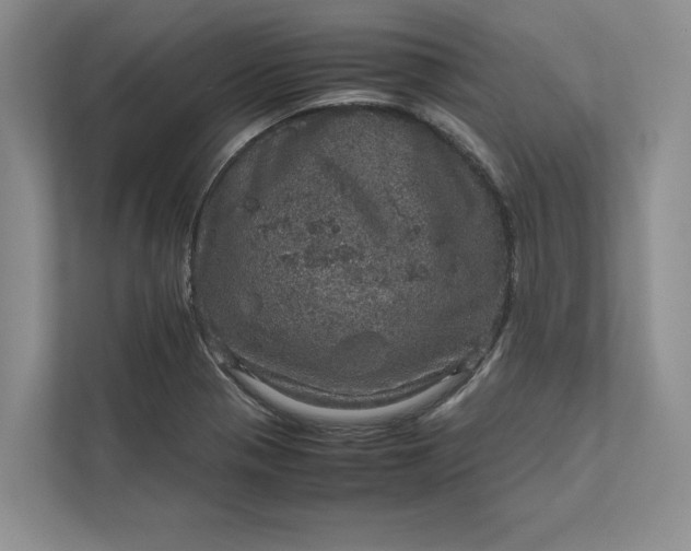 X0000111811321200908061107