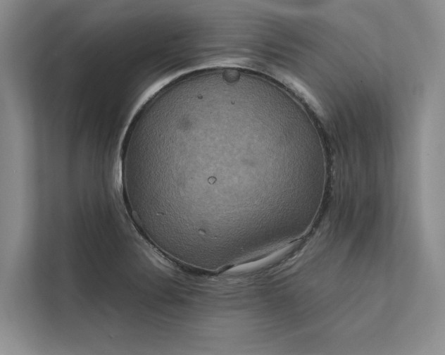 X0000111811324200908061107