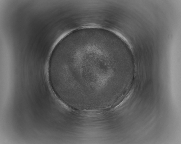 X0000111811325200908061107