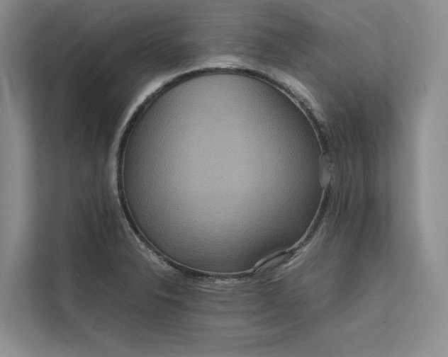 X0000111811326200908061107