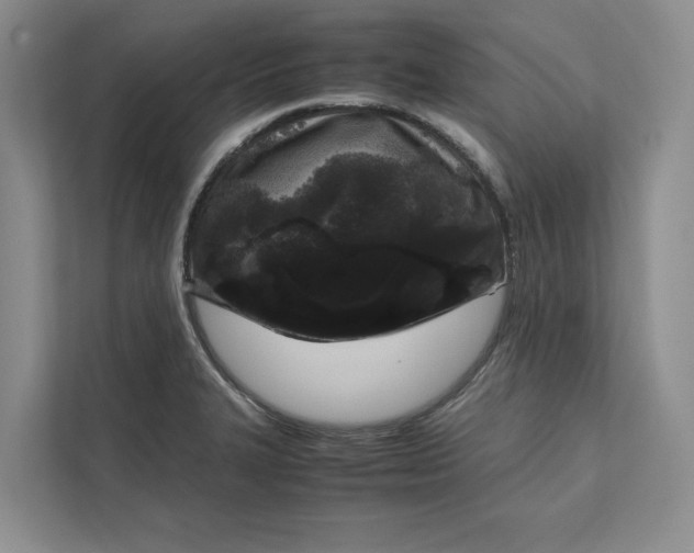 X0000111811327200908061107