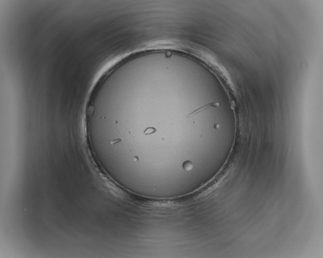 X0000111811328200908061107