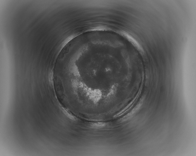X0000111811329200908061107