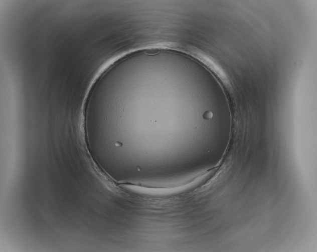 X0000111811332200908061107