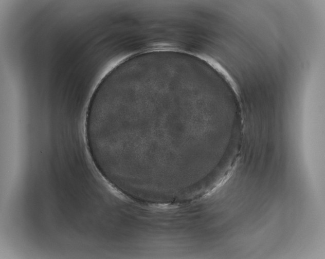 X0000111811333200908061108