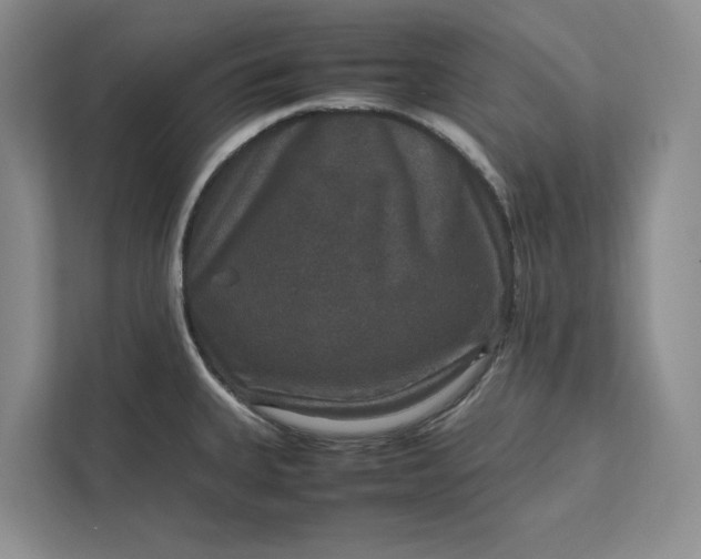 X0000111811335200908061108