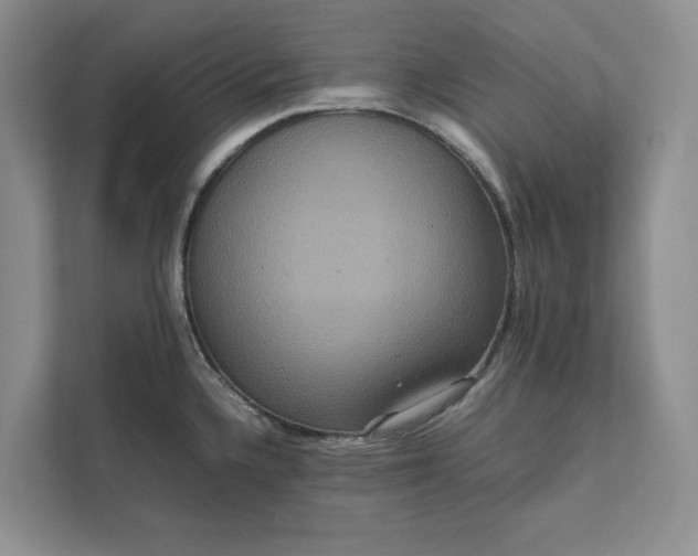 X0000111811336200908061108