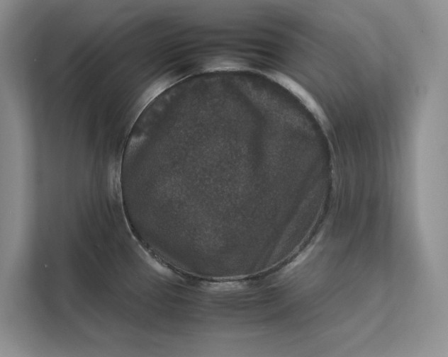 X0000111811337200908061108