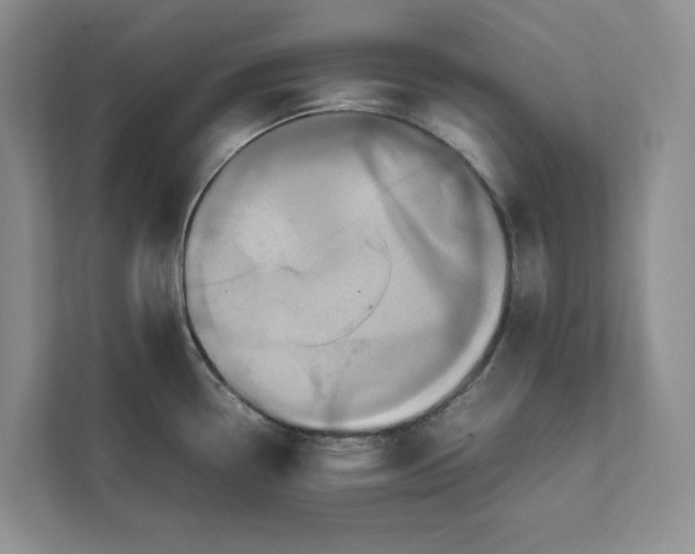 X0000111811338200908061108