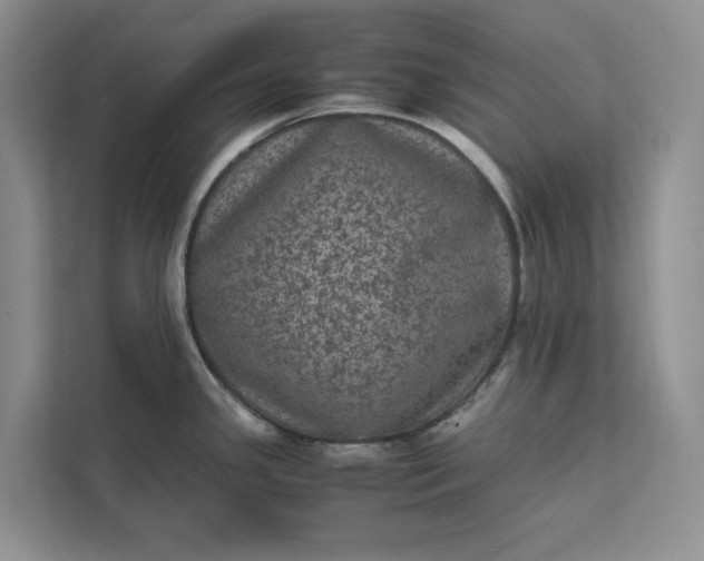 X0000111811341200908061108