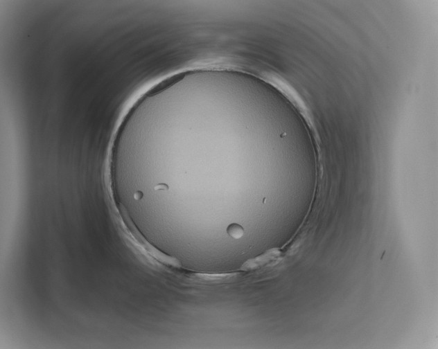 X0000111811344200908061108