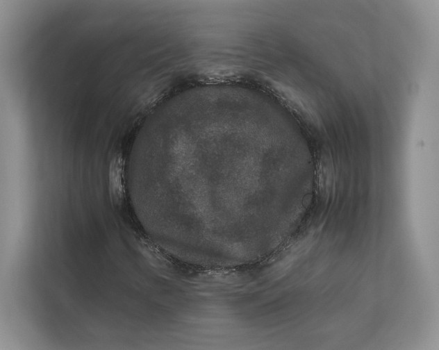 X0000111811346200908061107