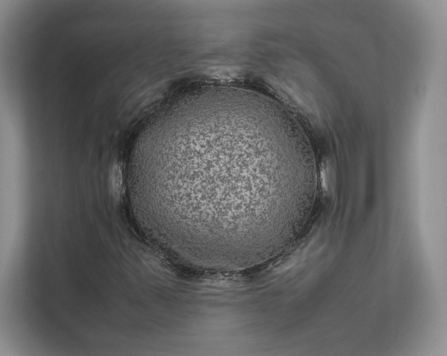 X0000111811347200908061107