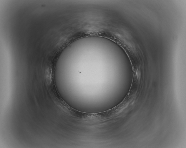 X0000111811348200908061107