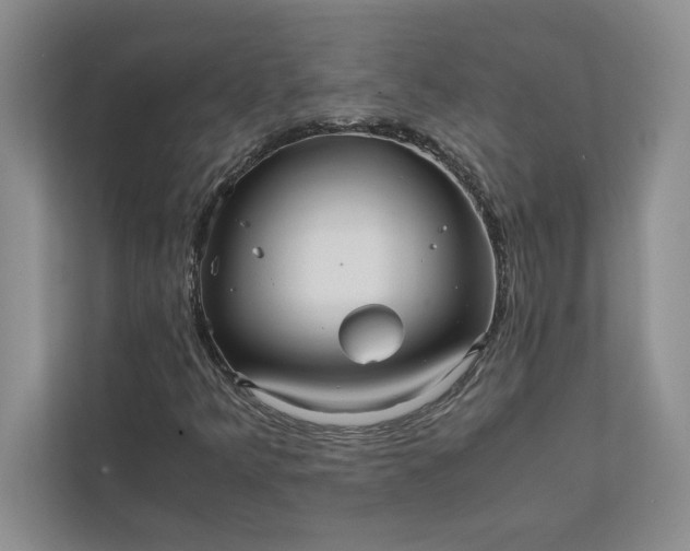X0000111811349200908061107